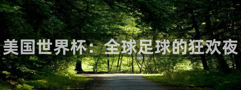 世界杯预选赛亚洲:美国世界杯:全球足球的狂欢夜