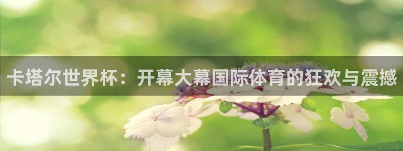 2026世界杯小组赛赛程时间表:卡塔尔世界杯:开幕大幕国际体育的狂欢与震撼