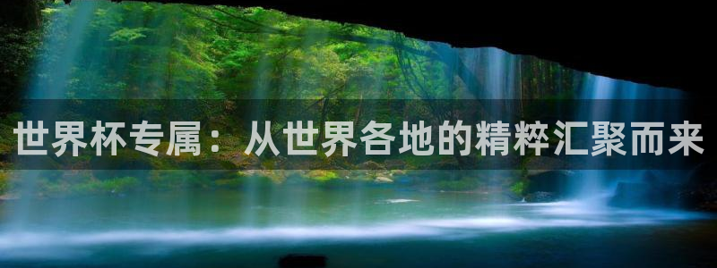 中国 世界杯:世界杯专属:从世界各地的精粹汇聚而来