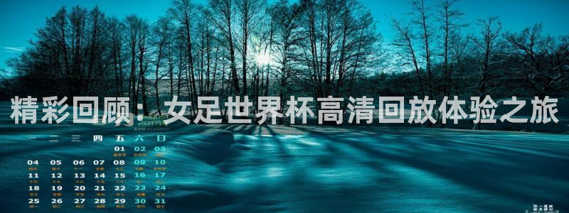 美国世界杯:精彩回顾:女足世界杯高清回放体验之旅