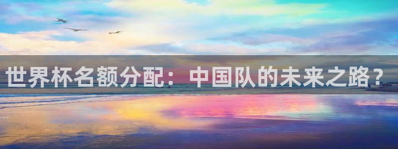 世界杯足球赛:世界杯名额分配:中国队的未来之路?
