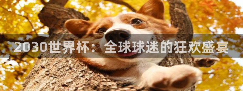 2026世界杯足球赛程时间表:2030世界杯:全球球迷的狂欢盛宴
