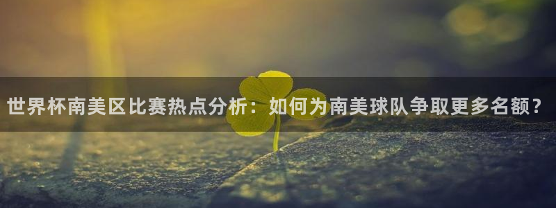 美国世界杯:世界杯南美区比赛热点分析:如何为南美球队争取更多名额?